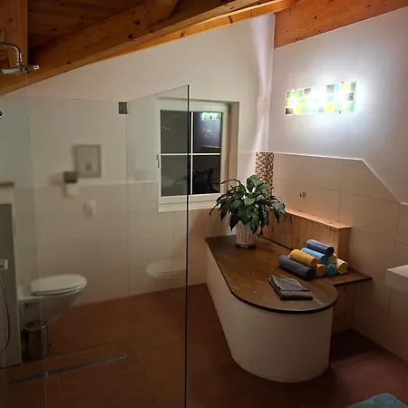 Haus Steger Appartamento Flachau