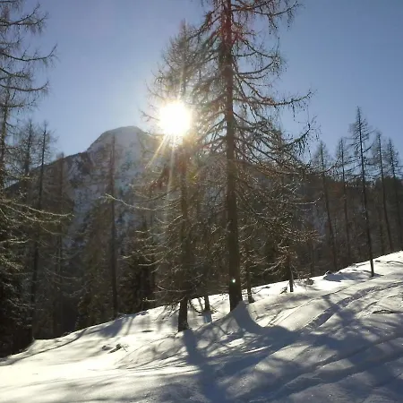 Haus Steger Daire Flachau