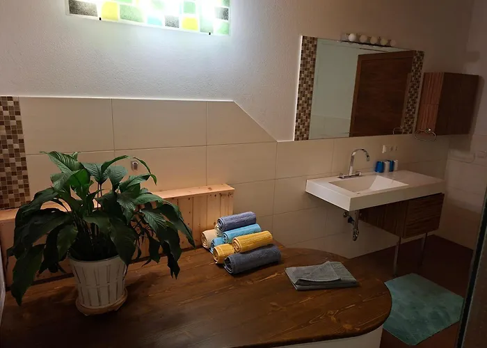 Daire Haus Steger Flachau